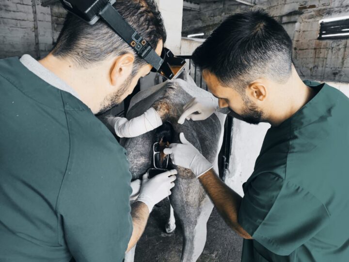 LACERACIONES RECTOVAGINALES